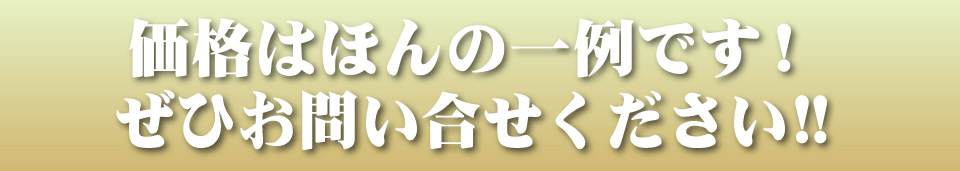 価格はほんの一例です！ぜひお問い合せ下さい！！